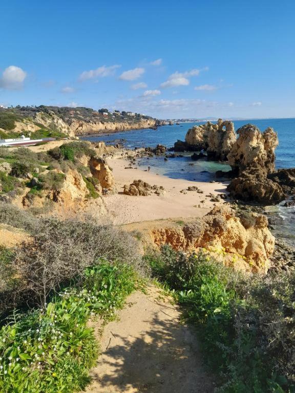 Estudio Puertorico T0 Em Albufeira Gale Buitenkant foto